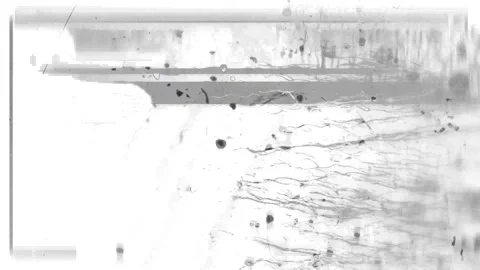 Grunge overlay texture transitions white background Stock Footage 292969198