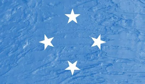Grunge painted Micronesia vector flag Illustrazione stock