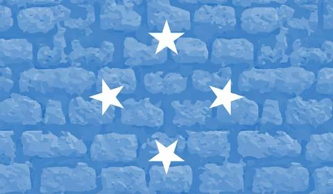 Grunge painted Micronesia vector flag Illustrazione stock
