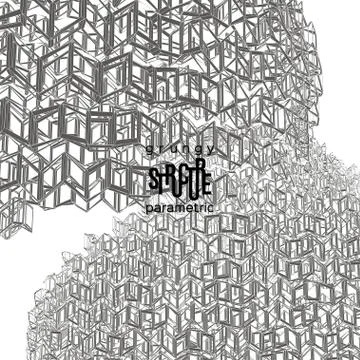 Grunge parametric structure. Vector design. Stock Illustration