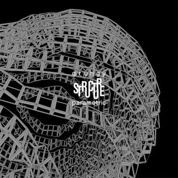 Grunge parametric structure. Vector design. Stock Illustration