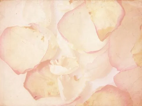 Grunge petals Stock Illustration