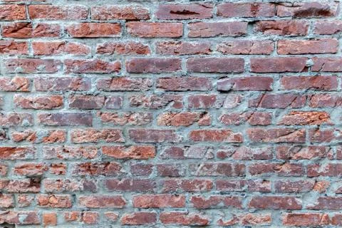Grunge red brick wall texture. Stock Photos