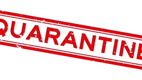 Grunge red quarantine word square rubber seal stamp zoom on white background Stock Footage 170229999
