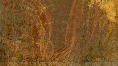 Grunge rings intro Stock Footage 346491