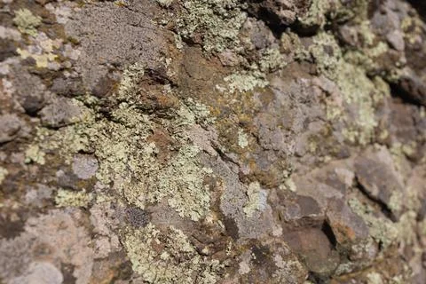 Grunge rock work pattern background with cracks and moss between them. Close up Stock Photos