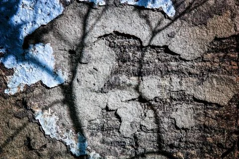 Grunge rustic wall texture Foto stock