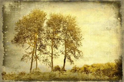 Grunge sepia background with trees Stock Illustration