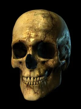 Grunge Skull - 3/4 View Stock Illustration