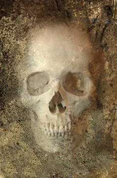 Grunge skull embedded in rock Illustrazione stock
