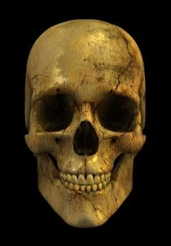 Grunge Skull Stock Illustration