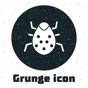 Grunge System bug concept icon isolated on white background. Code bug concept Stock Illustration