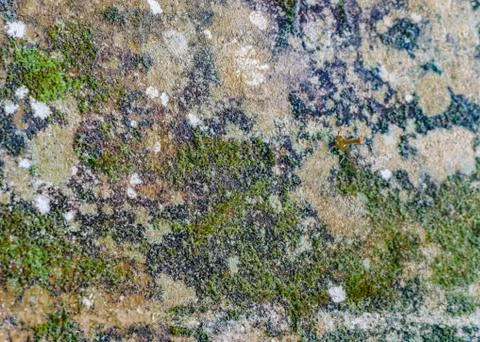 Grunge Texture Abstract Background Stock Photos