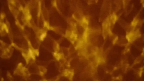 Grunge texture background Stock Footage 146815495