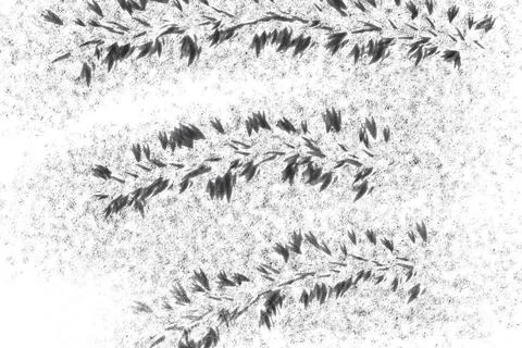 Grunge texture for background.dark white background with unique texture.Abst Stock Illustration