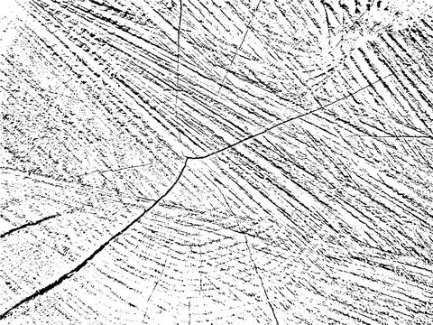 Grunge texture of a cherry tree cross-section with cracks Illustrazione stock