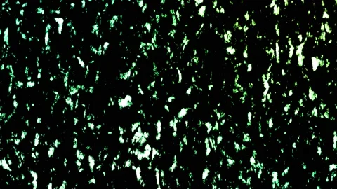 Grunge Texture Stock Footage 202640251