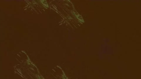 Grunge Texture Stock Footage 222717827