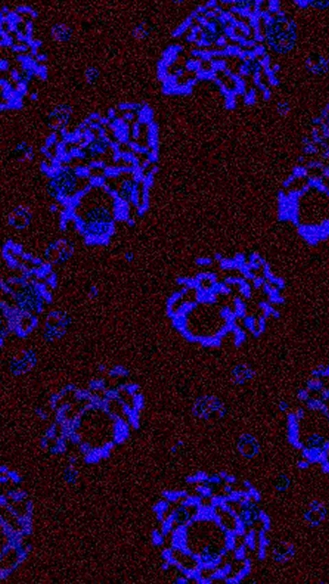 Grunge Texture Stock Footage 263899687