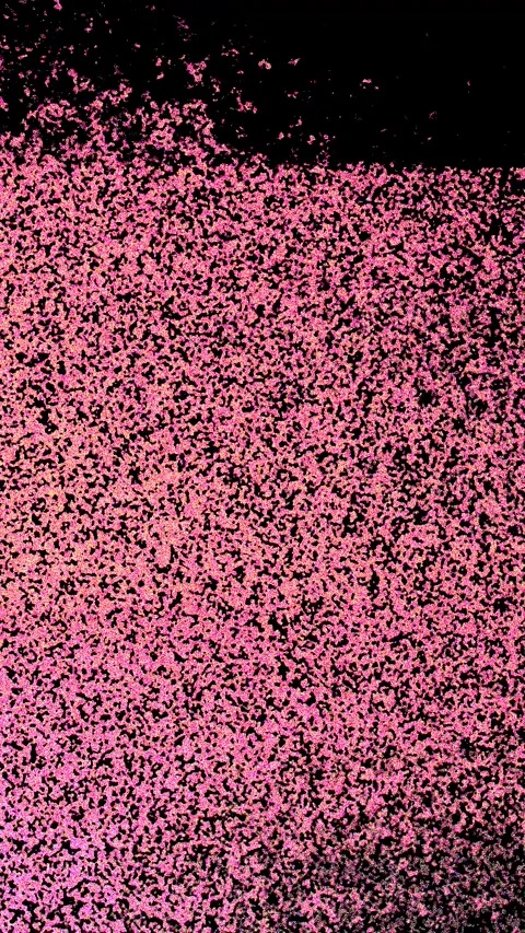 Grunge Texture Stock Footage 266401149