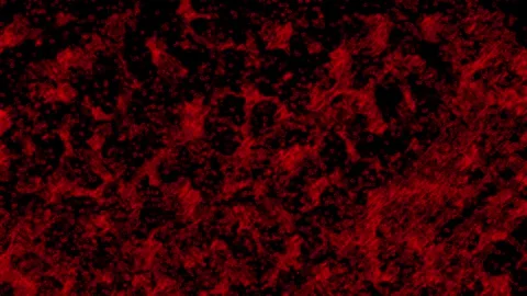 Grunge Texture Stock Footage 266501225