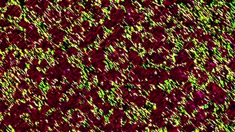 Grunge Texture Stock Footage 266959718