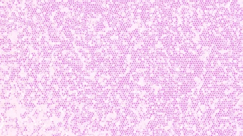 Grunge Texture Stock Footage 267012918