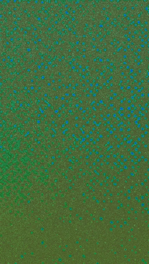 Grunge Texture Stock Footage 267070073