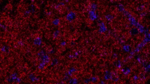 Grunge Texture Stock Footage 267182939