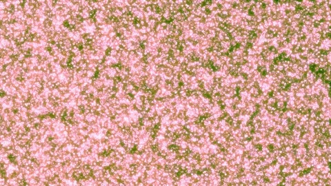 Grunge Texture Stock Footage 271201859