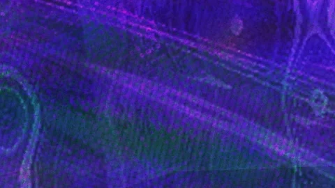 Grunge Texture Stock Footage 299666177