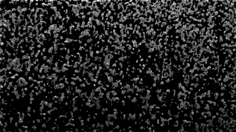 Grunge Texture Stock Footage 308859276