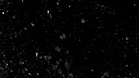 Grunge Texture Stock Footage 308859283