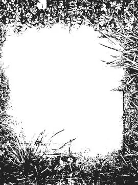Grunge Texture Frame with Border Grass Overgrown Stock Illustration