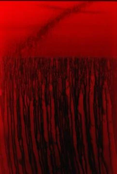 Grunge texture Stock Illustration