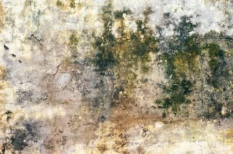 Grunge Texture Stock Photos
