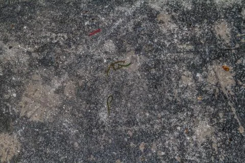 Grunge texture Stock Photos