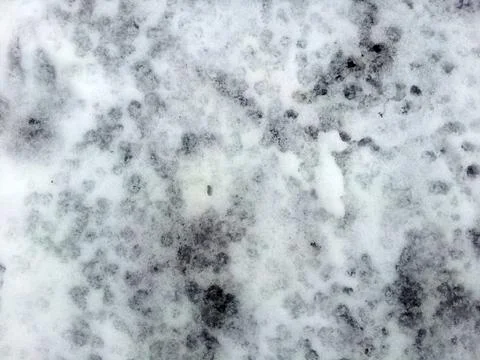 Grunge texture Stock Photos