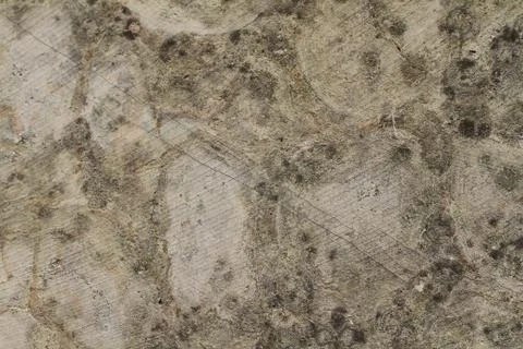 Grunge texture Stock Photos