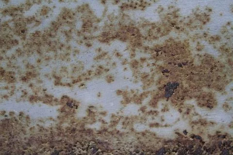 Grunge texture Stock Photos