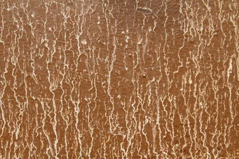 Grunge texture Stock Photos