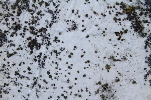 Grunge texture Stock Photos