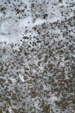 Grunge texture Stock Photos