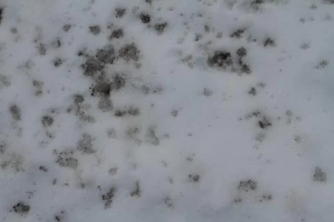 Grunge texture Stock Photos