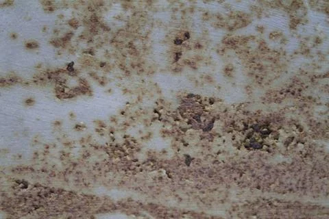 Grunge texture Stock Photos