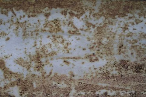 Grunge texture Stock Photos