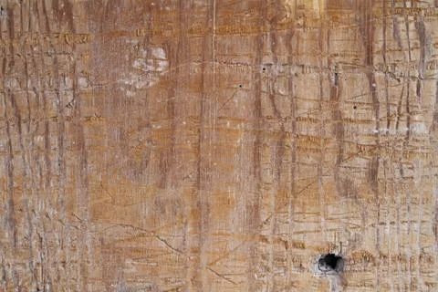 Grunge texture Stock Photos