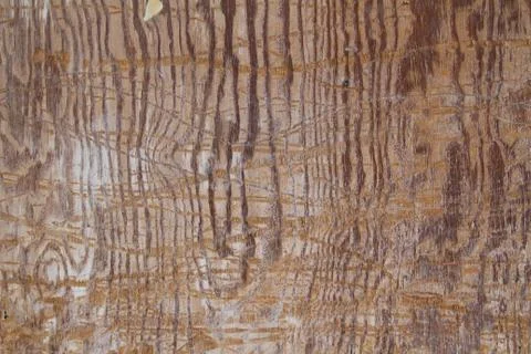 Grunge texture Stock Photos