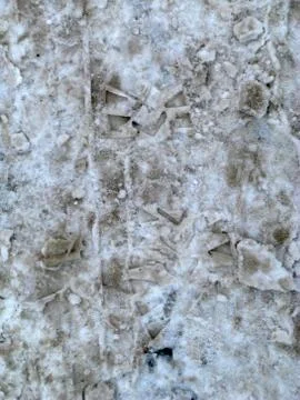 Grunge texture Stock Photos