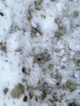 Grunge texture Stock Photos